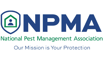 npam.2103291515550