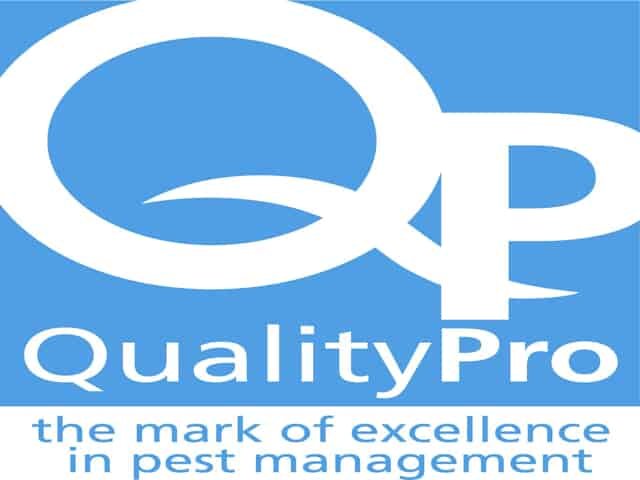 qualitypro-pms646.2201200914254